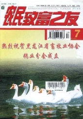 ũ¸֮ѡ